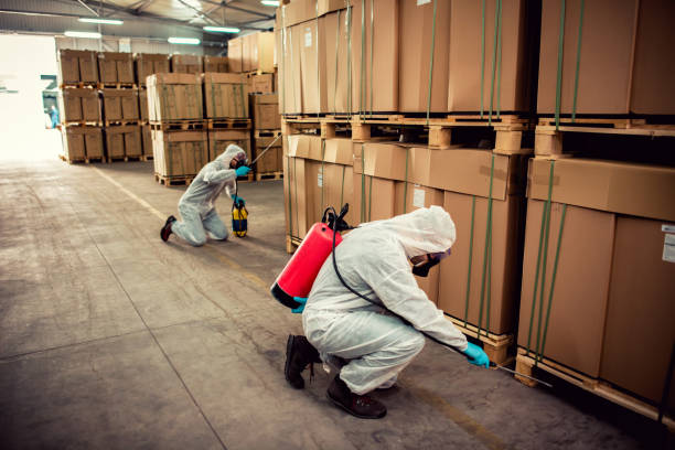 Best Pest Inspection Near Me  in Wewa, OK