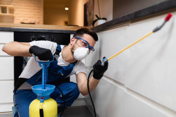 Best Exterminator Services  in Wewa, OK
