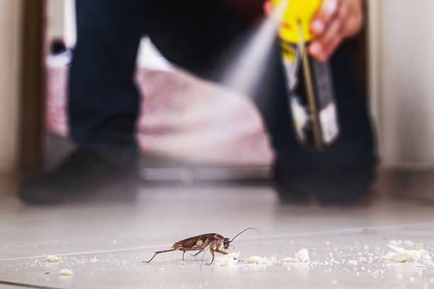 Professional Pest Control in Wewoka, OK