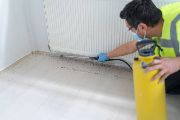 Best Cockroach Control Services  in Wewa, OK