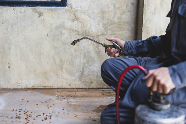 Best Pest Removal Services  in Wewa, OK
